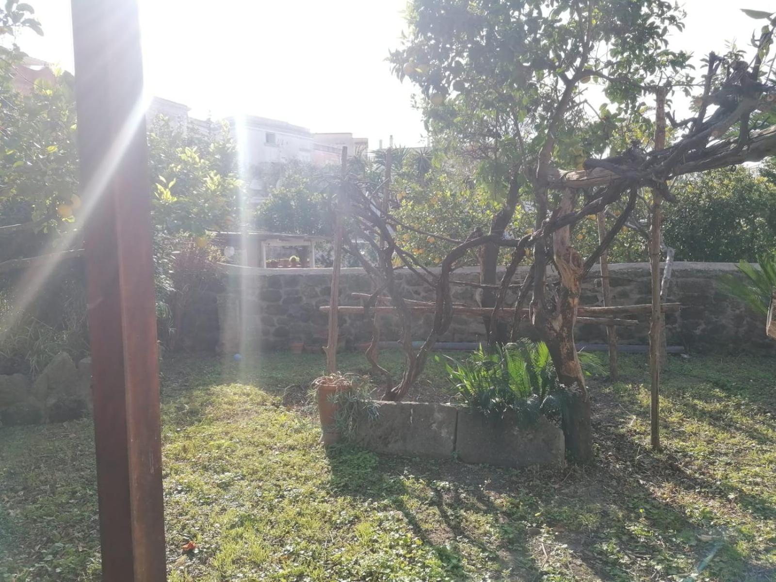 Dimora Coloniale B&B Forio  Екстер'єр фото
