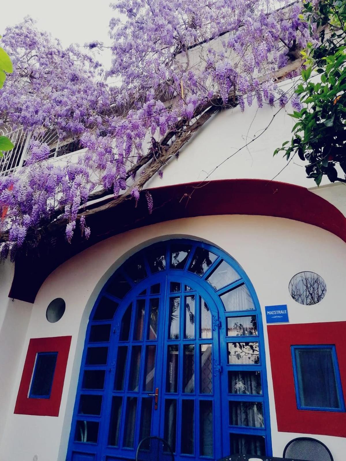 Dimora Coloniale B&B Forio  Екстер'єр фото